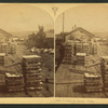 Bullion at Buena Vista.