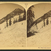 Trail over Alpine Pass.