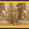 Park City. A new mining camp, up Stray Horse Gulch, two miles east of Leadville.