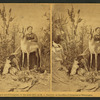 Mrs. M. A. Maxwell and some of the animals in her "Rocky Mountain Museum."