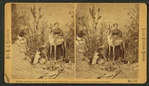 Mrs. M. A. Maxwell and some of the animals in her "Rocky Mountain Museum."