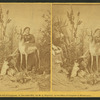 Mrs. M. A. Maxwell and some of the animals in her "Rocky Mountain Museum."