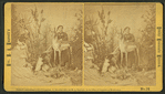 Mrs. M. A. Maxwell and some of the animals in her "Rocky Mountain Museum."