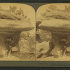 Little lovers in Elfland, Garden of the Gods, Colorado, U.S.A.