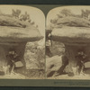 Little lovers in Elfland, Garden of the Gods, Colorado, U.S.A.