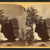 Balancing Rock. Garden of the Gods, located five miles from Colorado Springs.
