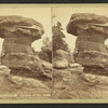 Mother Murhroom [Mushroom]. Garden of the Gods.