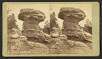 Mother Murhroom [Mushroom]. Garden of the Gods.