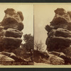 Mother Murhroom [Mushroom]. Garden of the Gods.