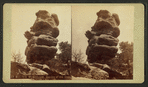 Mother Murhroom [Mushroom]. Garden of the Gods.