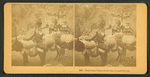 Burro pack train, on the way to Leadville, Col.
