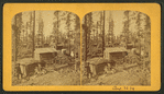 Leadville, Colorado. (Apr. 23, [18]79)