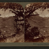 Manitou and Pike's Peak, Colorado, U.S.A.