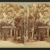 Ute Pass house.