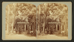 Ute Pass house.