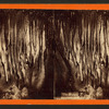 The organ, Manitou Grand Caverns.