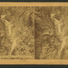 The five falls, Cheyenne Canon, Colorado.