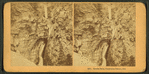 Seven Falls, Cheyenne Canon, Col.