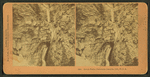 Seven Falls, Cheyenne Canyon, Col., U.S.A.