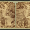 The three falls, Cheyenne Canyon, 150 feet high, from the bed of the canyon.