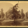 Entrance to Cheyenne Canon.