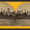 Monument Park, Col. Ter.
