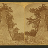 Phanton rock. Natural monuments in Monument Park.