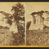 View in Monument Park, Colorado.