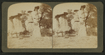 Dutch wedding, Monument Park, Colorado, U.S.A.