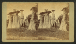 "The Dutch wedding." Monument Park.