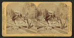 I helped to build Pike's Peak railroad myself," Colorado, U.S.A.