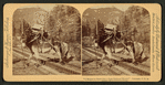 I helped to build Pike's Peak railroad myself," Colorado, U.S.A.