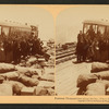 Fourteen thousand feet above the sea, Pike's Peak, Colorado, U.S.A.