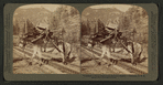I helped to build Pike's Peak railroad myself," Colorado, U.S.A.