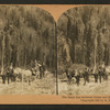 The daily trip between Ouray and Red Mountain, Colorado.