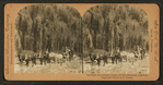 The daily trip between Ouray and Red Mountain, Colorado.