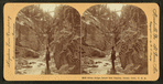 Siren Gorge, below Box Canyon, Ouray, Colo., U.S.A.