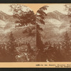 In the majestic mountain world of Colorado: Ouray from the heights.