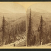 Marshall Pass and Mt. Ouray.