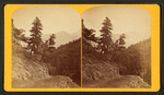 The Ute Pass, near the falls of the Fountain, looking down. Cameron's Cone in the distance.