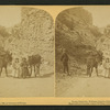Young explorers, Williams Canyon, Colorado.