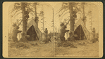Camp beseiged by a bear.