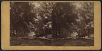 Main Street, looking south. [Danbury]