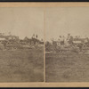 [View of downed trees and collapsed houses.]