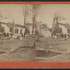 View of downed trees and collapsed houses.]