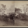 View of downed trees.