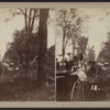 View of people, carriages and downed trees.