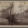 View of horse-carts moving along the street with collapsed houses and downed trees.
