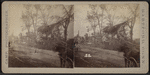 View of horse-carts moving along the street with collapsed houses and downed trees.