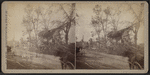View of horse-carts moving along the street with collapsed houses and downed trees.